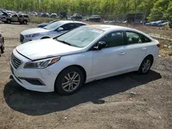 5NPE24AF4GH307565 2016 HYUNDAI SONATA