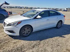 5NPE24AF4GH307579 2016 HYUNDAI SONATA