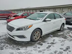 5NPE24AF4GH307596 2016 HYUNDAI SONATA
