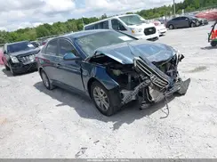 5NPE24AF4GH308392 2016 HYUNDAI SONATA