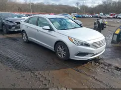5NPE24AF4GH313009 2016 HYUNDAI SONATA