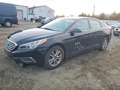 5NPE24AF4GH320929 2016 HYUNDAI SONATA