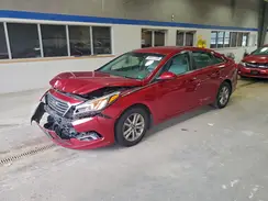 5NPE24AF4GH332594 2016 HYUNDAI SONATA