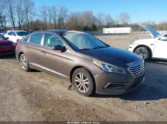5NPE24AF4GH333731 2016 HYUNDAI SONATA