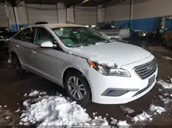 5NPE24AF4GH334510 2016 HYUNDAI SONATA
