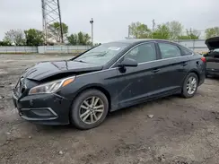 5NPE24AF4GH337102 2016 HYUNDAI SONATA
