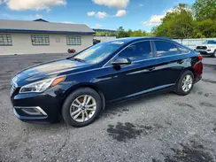 5NPE24AF4GH338184 2016 HYUNDAI SONATA