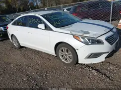 5NPE24AF4GH341490 2016 HYUNDAI SONATA