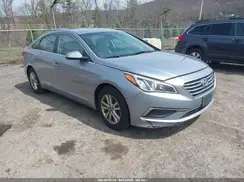 5NPE24AF4GH343059 2016 HYUNDAI SONATA