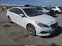 5NPE24AF4GH343174 2016 HYUNDAI SONATA