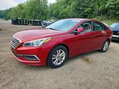 5NPE24AF4GH355003 2016 HYUNDAI SONATA