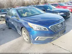 5NPE24AF4GH356488 2016 HYUNDAI SONATA