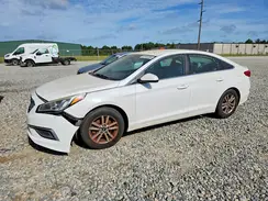 5NPE24AF4GH359388 2016 HYUNDAI SONATA