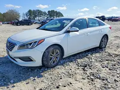 5NPE24AF4GH359858 2016 HYUNDAI SONATA