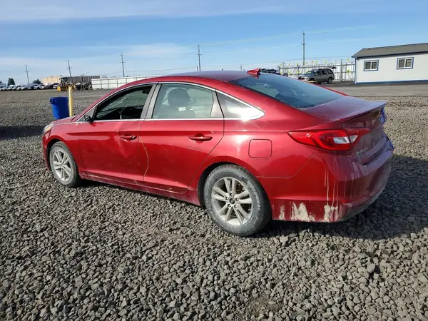 5NPE24AF4GH365451 2016 HYUNDAI SONATA - Image 2