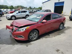5NPE24AF4GH376563 2016 HYUNDAI SONATA