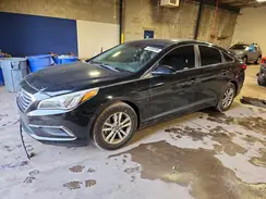 5NPE24AF4GH380094 2016 HYUNDAI SONATA