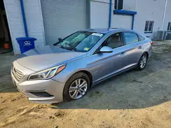 5NPE24AF4GH384579 2016 HYUNDAI SONATA