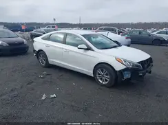 5NPE24AF4GH394464 2016 HYUNDAI SONATA