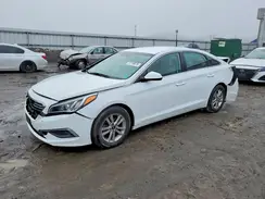 5NPE24AF4GH398093 2016 HYUNDAI SONATA