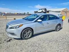 5NPE24AF4GH400022 2016 HYUNDAI SONATA