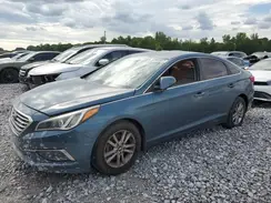 5NPE24AF4GH402031 2016 HYUNDAI SONATA