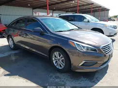 5NPE24AF4GH405303 2016 HYUNDAI SONATA