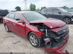 5NPE24AF4GH408766 2016 HYUNDAI SONATA