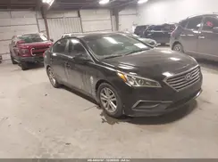 5NPE24AF4GH410310 2016 HYUNDAI SONATA