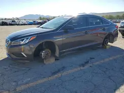 5NPE24AF4GH414583 2016 HYUNDAI SONATA