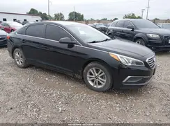 5NPE24AF4GH421131 2016 HYUNDAI SONATA