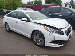5NPE24AF4GH421839 2016 HYUNDAI SONATA