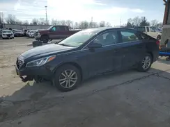 5NPE24AF4GH429763 2016 HYUNDAI SONATA