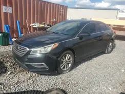 5NPE24AF4HH437587 2017 HYUNDAI SONATA