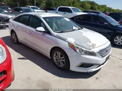 5NPE24AF4HH443597 2017 HYUNDAI SONATA