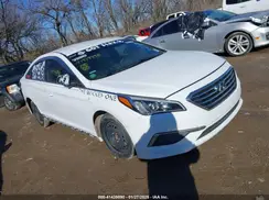 5NPE24AF4HH460013 2017 HYUNDAI SONATA