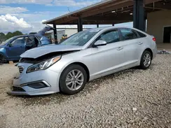 5NPE24AF4HH470444 2017 HYUNDAI SONATA