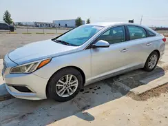 5NPE24AF4HH471223 2017 HYUNDAI SONATA