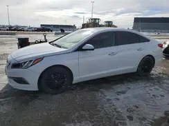 5NPE24AF4HH472579 2017 HYUNDAI SONATA