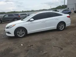 5NPE24AF4HH493349 2017 HYUNDAI SONATA