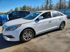 5NPE24AF4HH496543 2017 HYUNDAI SONATA