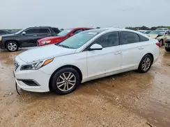 5NPE24AF4HH497126 2017 HYUNDAI SONATA