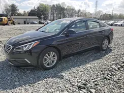 5NPE24AF4HH497174 2017 HYUNDAI SONATA