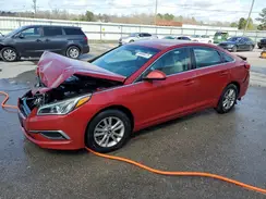 5NPE24AF4HH504737 2017 HYUNDAI SONATA