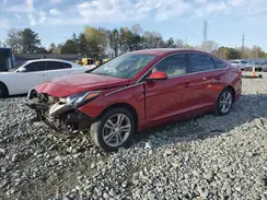 5NPE24AF4HH505774 2017 HYUNDAI SONATA