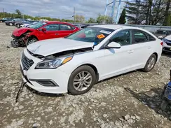 5NPE24AF4HH509081 2017 HYUNDAI SONATA
