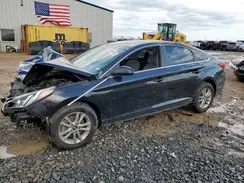 5NPE24AF4HH511719 2017 HYUNDAI SONATA