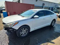 5NPE24AF4HH514278 2017 HYUNDAI SONATA