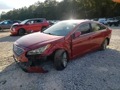 5NPE24AF4HH515950 2017 HYUNDAI SONATA