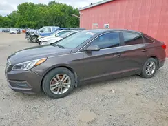 5NPE24AF4HH516466 2017 HYUNDAI SONATA
